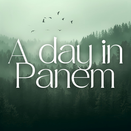 A day in Panem