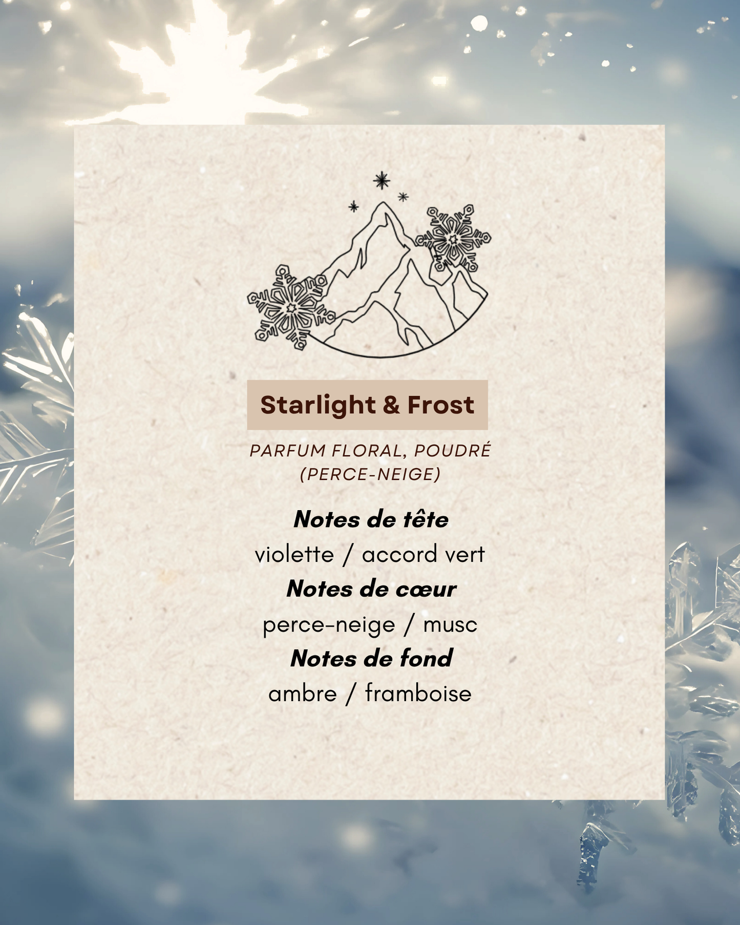 Bougie parfumée grand format Starlight & Frost