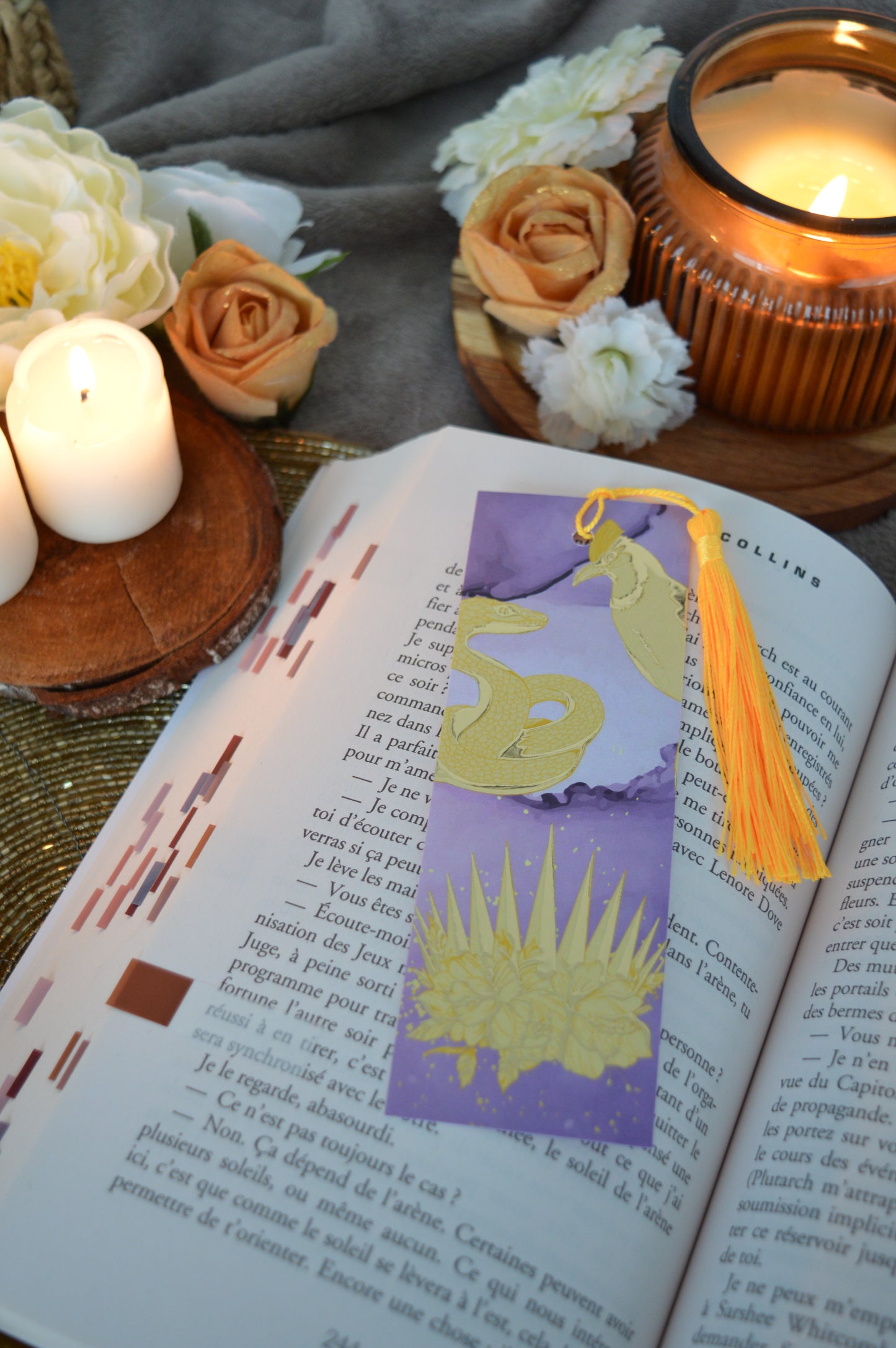 Marque-pages A day in Panem